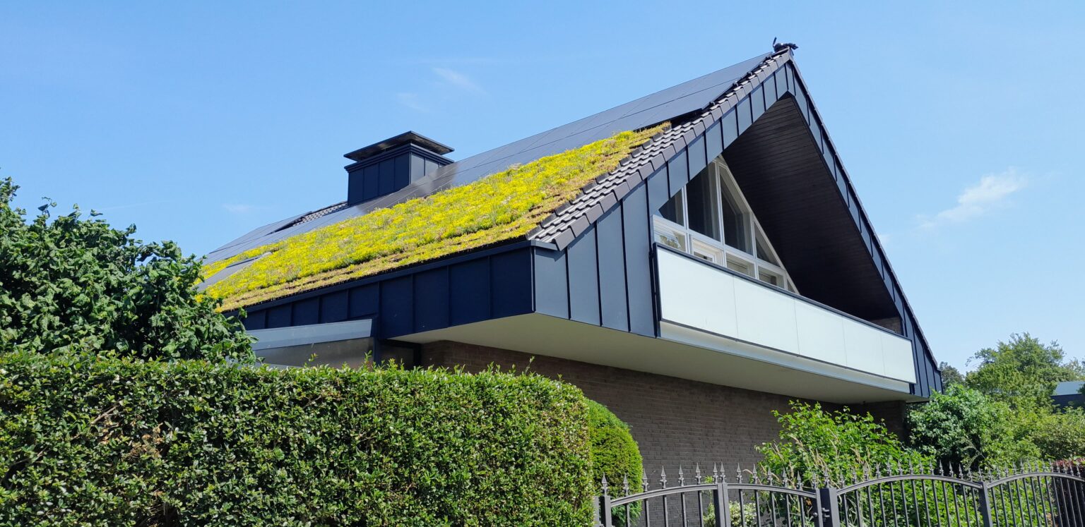 Ein Steildach, das saniert wurde und Dachbegrünung und eine PV-Anlage bekommen hat