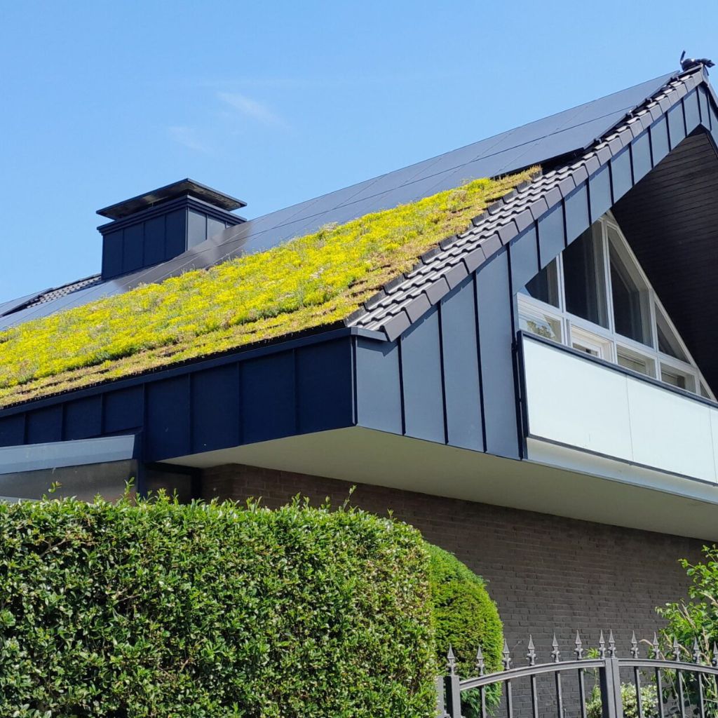 Ein saniertes Steildach mit Dachbegrünung und Photovoltaikmodulen