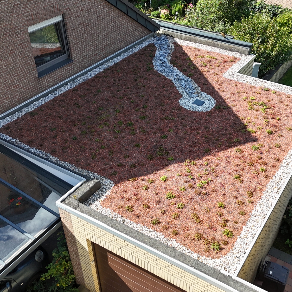 Ein Flachdach, welches von Dohmesen Dach fachgerecht saniert wurde und Dachbegrünung bekommen hat